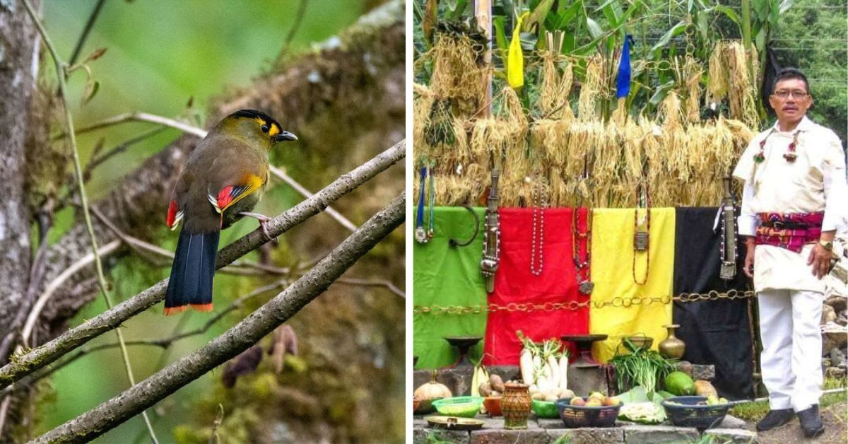 Bugun tribe members standing in lush green forest reserve in Arunachal Pradesh, India