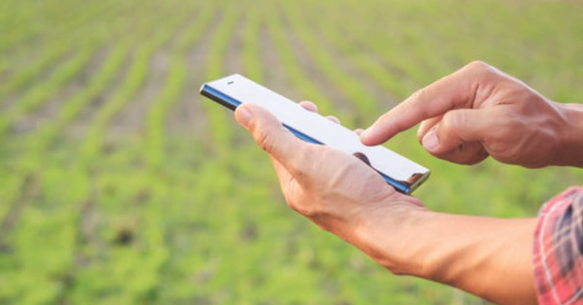 AI Chatbot Helps India's Farmers Access Benefits in 11 Languages