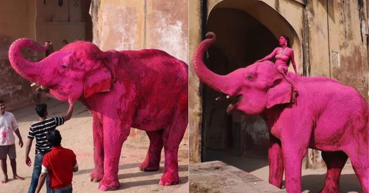 Elephants bathing in large water reservoir at Hathi Gaon village near Jaipur India