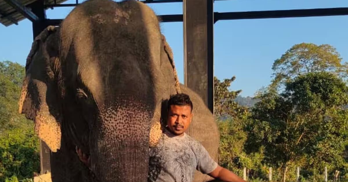 Mahout Bipin Kashyap standing beside his elephant companion Bhima at Kaziranga National Park