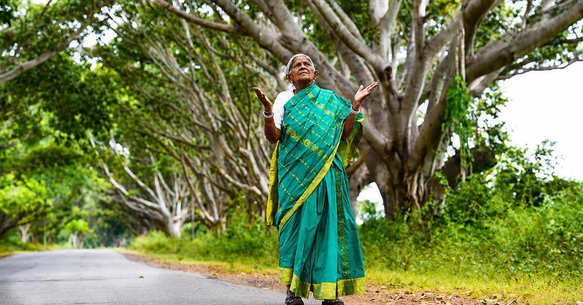 Woman Plants 400 Banyans, Creates 4.5km Green Corridor