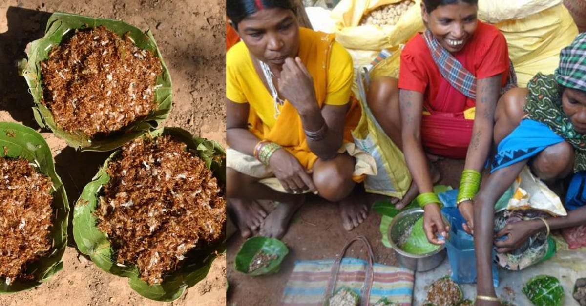 India's Ant Chutney Wins National Heritage Tag