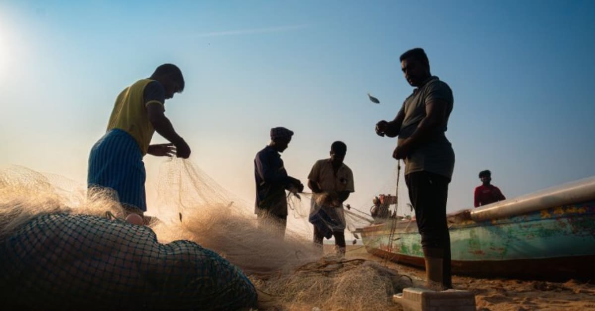 Solar panels installed on village building roof in Tamil Nadu coastal community