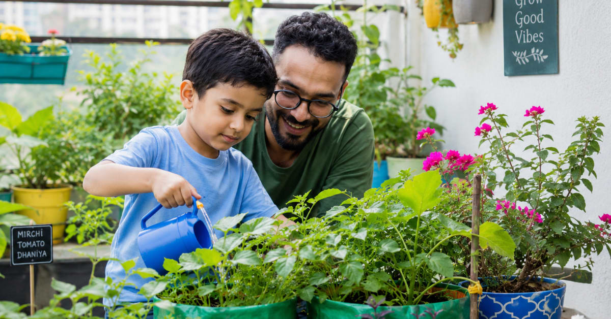 Young child's hands planting seeds in soil-filled container on sunny balcony garden
