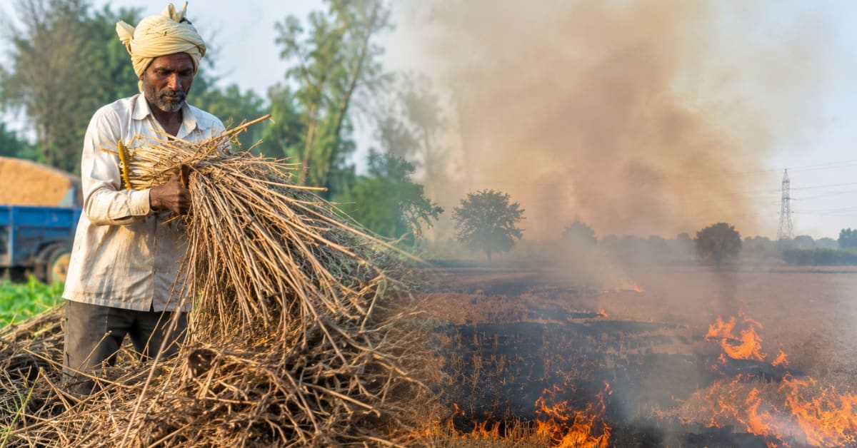 India Turns Crop Waste Into Clean Fuel and Farmer Income