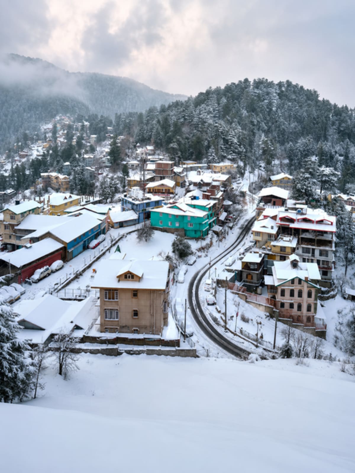 Historic Rashtrapati Niwas estate surrounded by cedar forests in Mashobra village, Himachal Pradesh