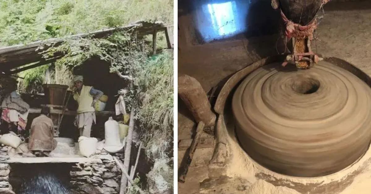 Himalayan Water Mills Grind Flour With Zero Electricity