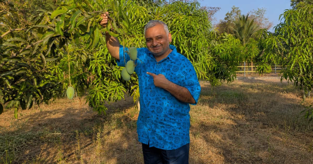 Mumbai Expert Plants 300,000 Trees in Tiny Urban Spaces