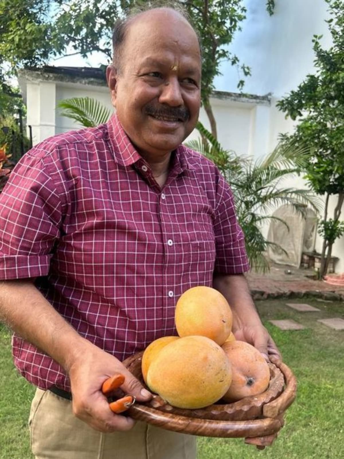 Retired Officer Grows 11 Mango Varieties on One Tree