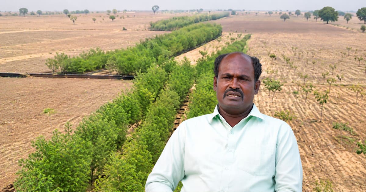 Lush green forest with tall trees covering previously barren land in Honnakiranagi village, Karnataka