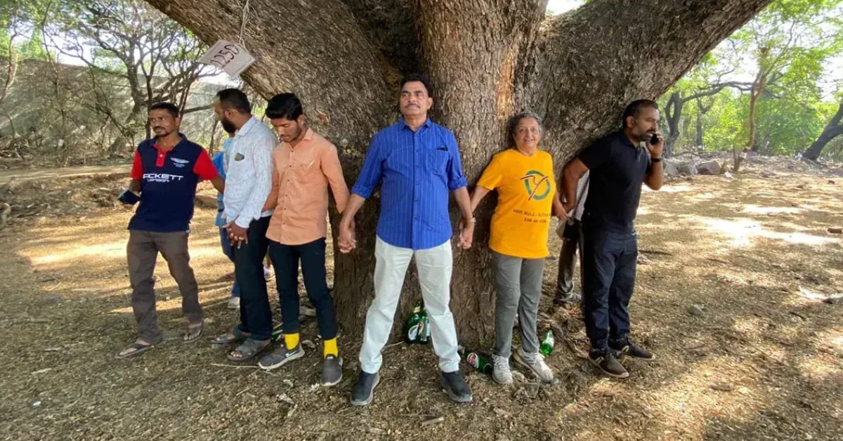 Actor Plants 650,000 Trees Across India for His Mother