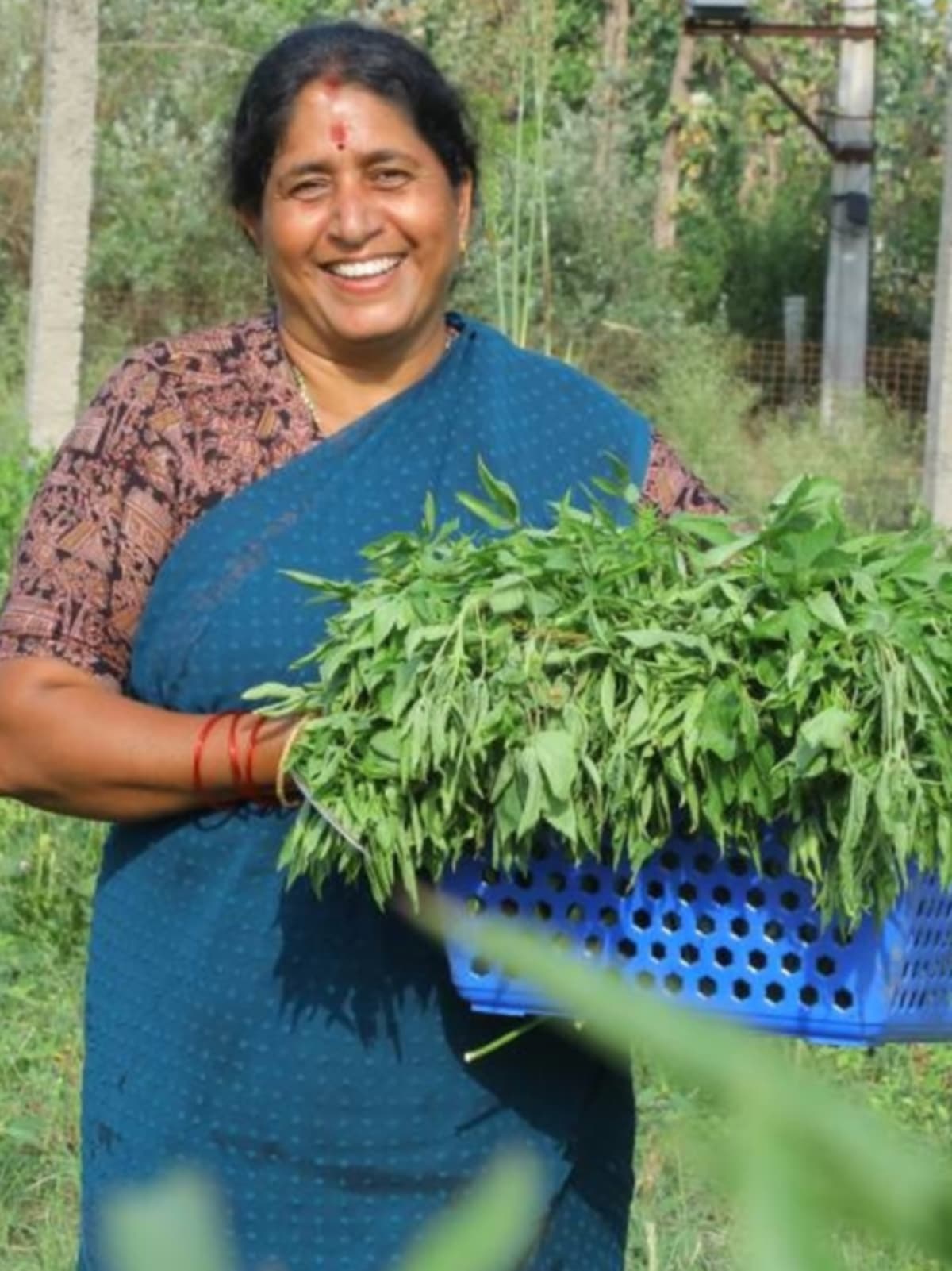 1.8 Million Indian Farmers Win Top Global Food Prize