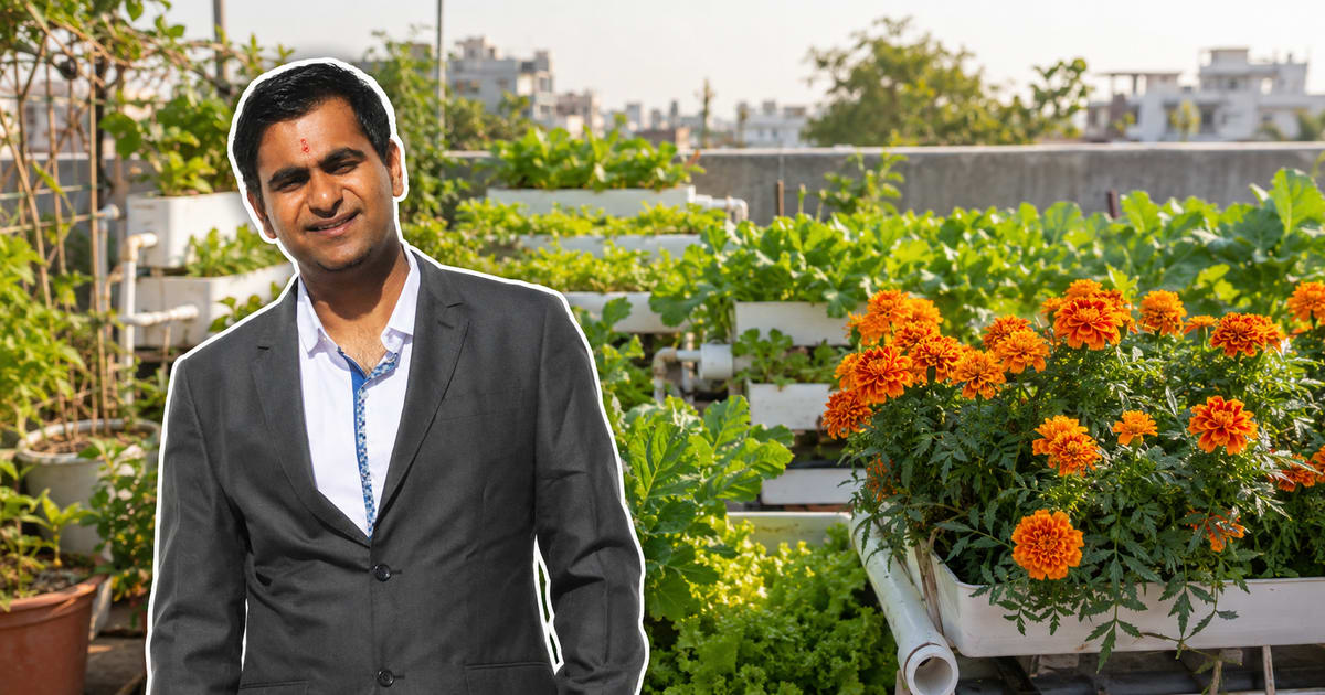 Engineer Grows 500 Kg Monthly Using Fish to Feed Plants - Image 2