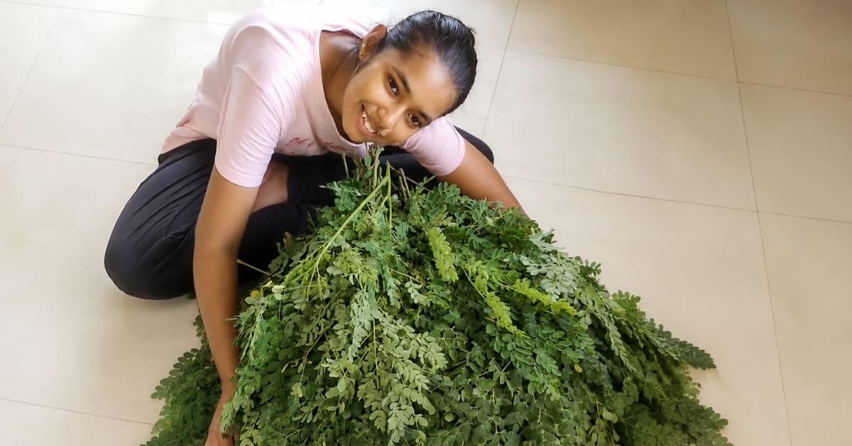 13-Year-Old Turns Backyard Moringa Trees Into Business