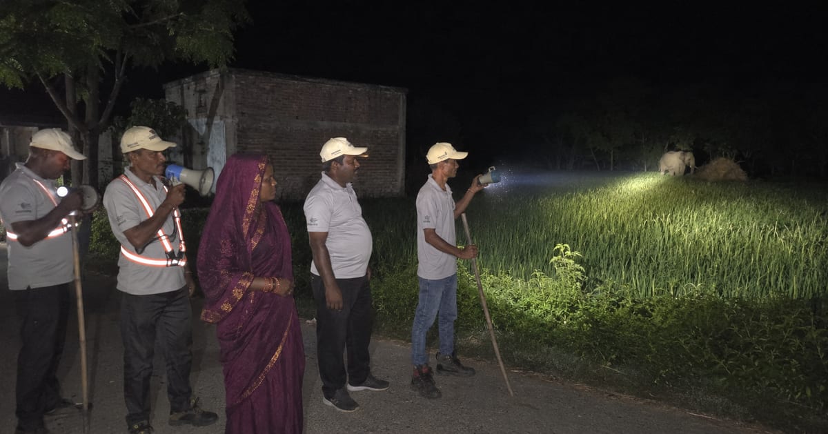 Farmer volunteers in reflective jackets patrol forest edge at night with torches and equipment