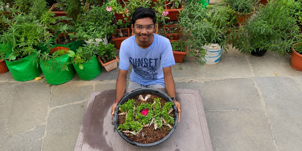 Gardener's 3-Fungi Mix Stops Garden Pests Naturally