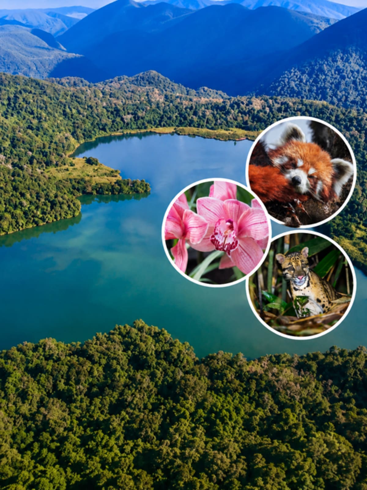 Aerial view of Glaw Lake surrounded by dense Eastern Himalayan forests and mountains