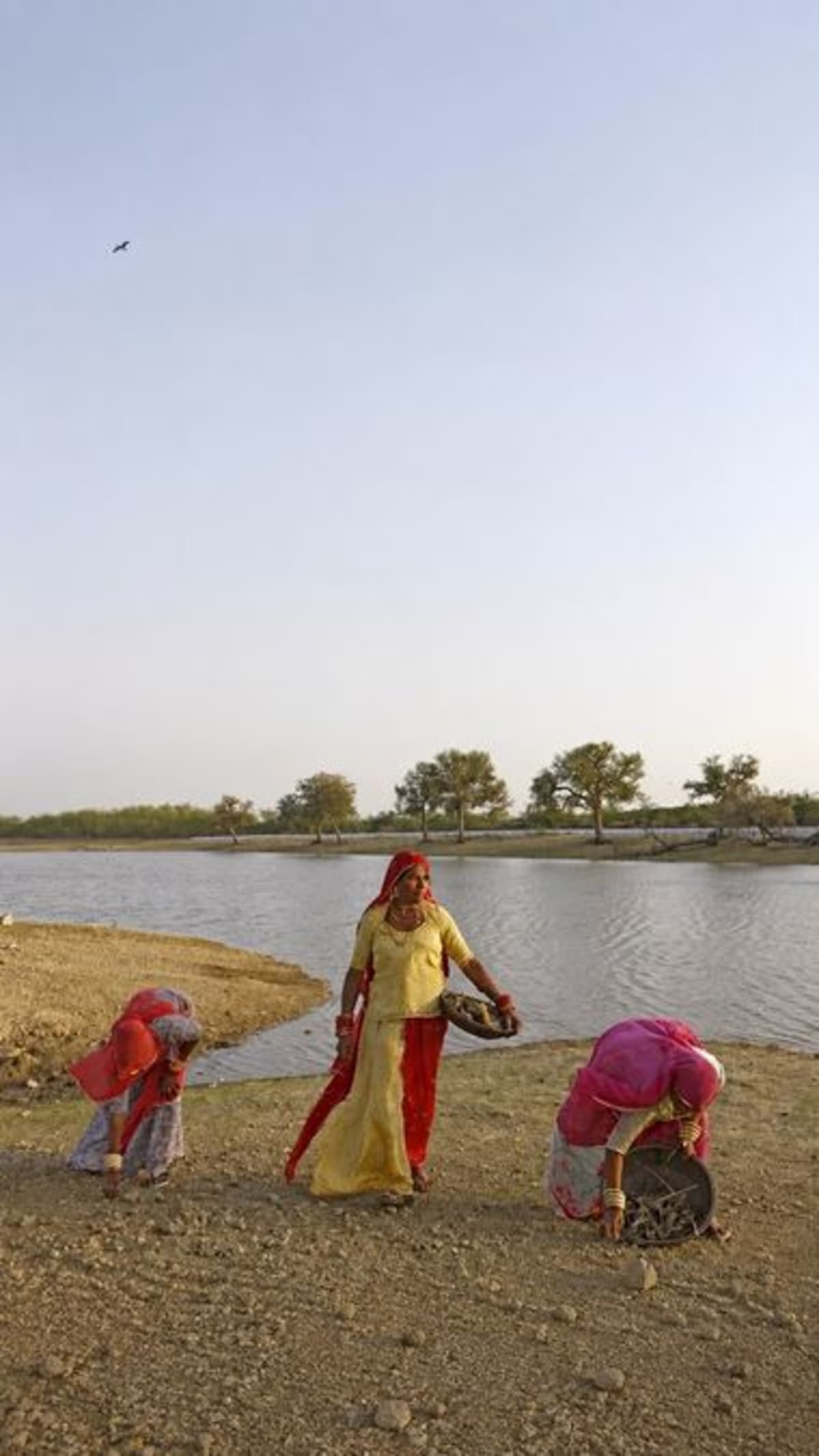 5 Indian Villages Store Monsoon Rain for Year-Round Water