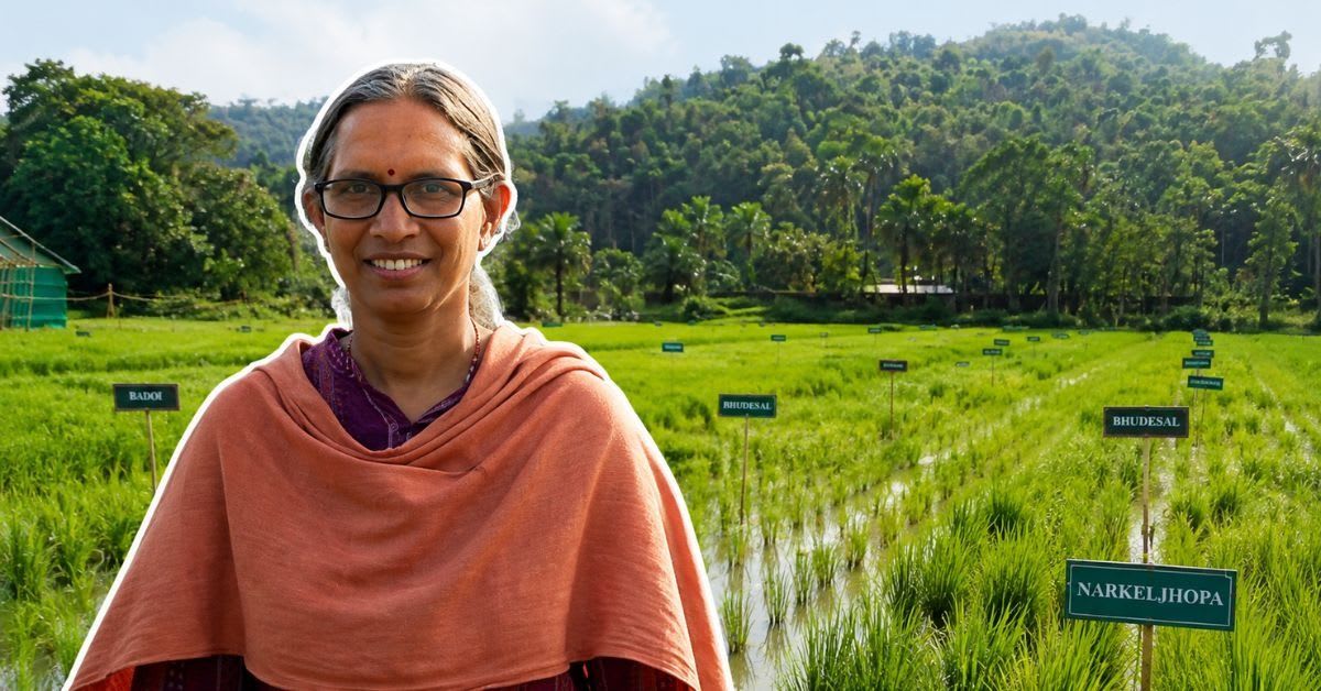 Woman Saves 1,000 Rice Varieties, Helps 30,000 Farmers