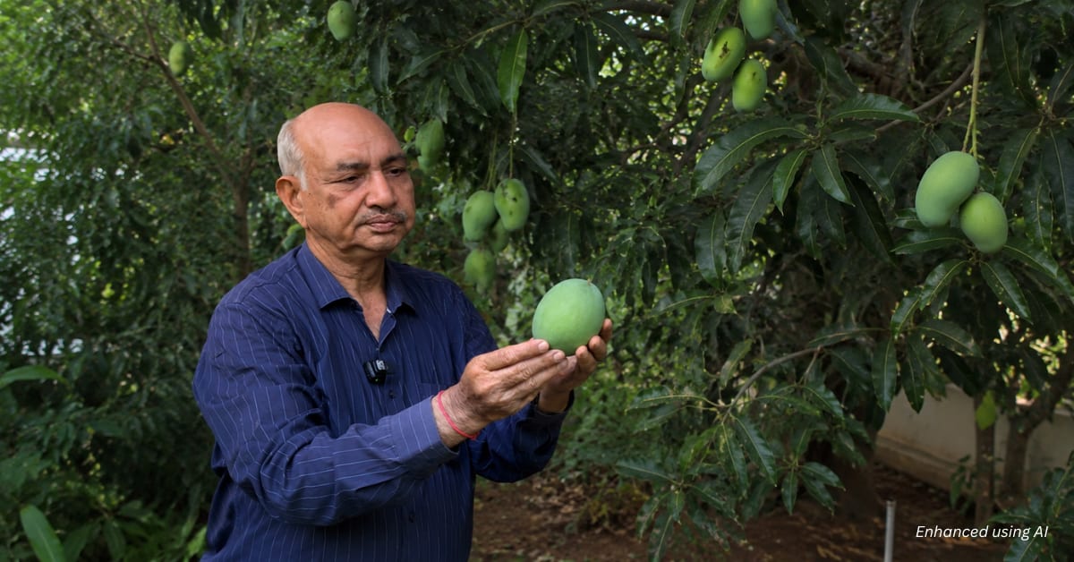 Terrace garden filled with potted fruit trees and tropical plants in urban Delhi setting