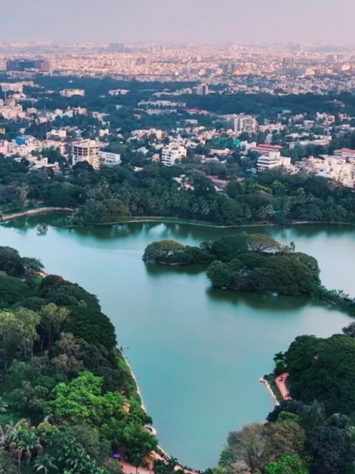 Bengaluru's Lalbagh: 2,150 Species & 250-Year-Old Trees