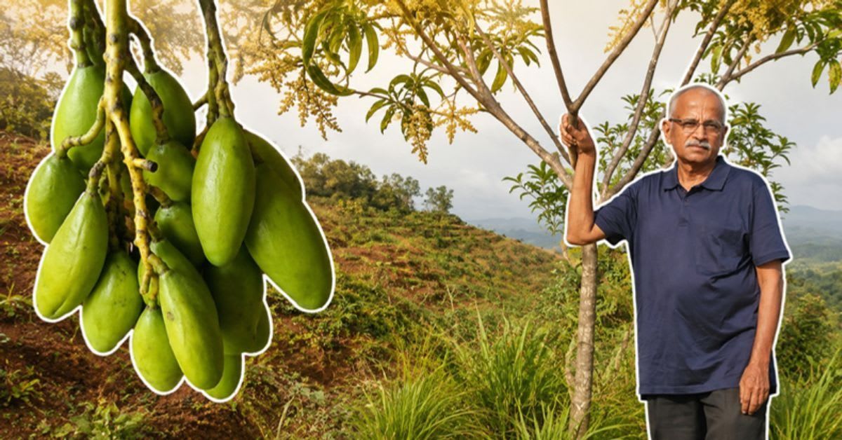 Vet Spends Life Savings on 600-Tree Mango Gene Bank