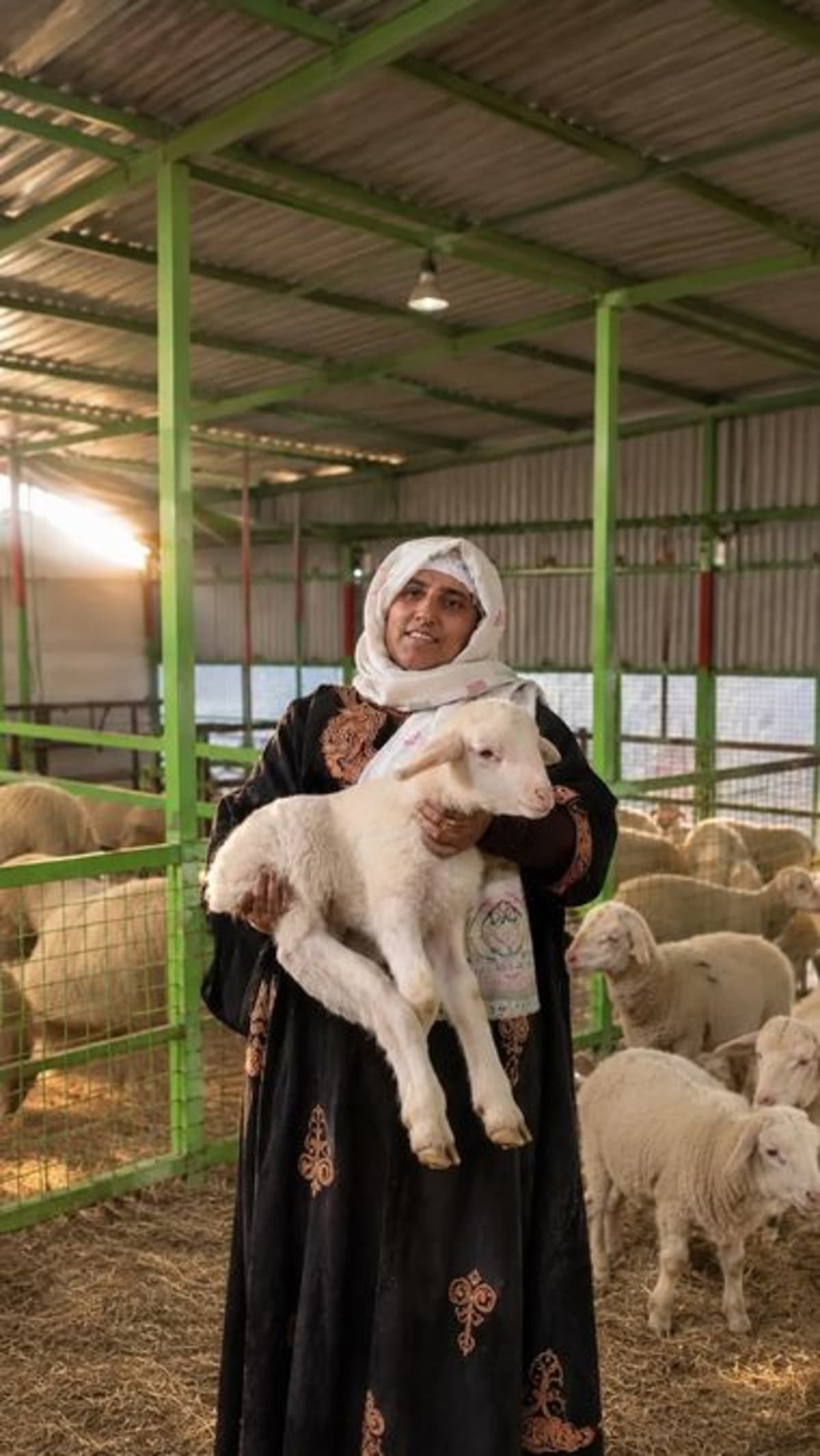 Mumtaza Begum standing with her flock of sheep in Kashmir mountains