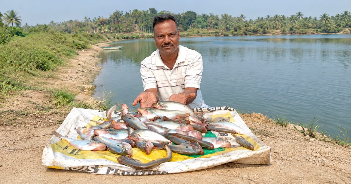 Assam Farmer Turns Annual Floods Into Thriving Fish Farm