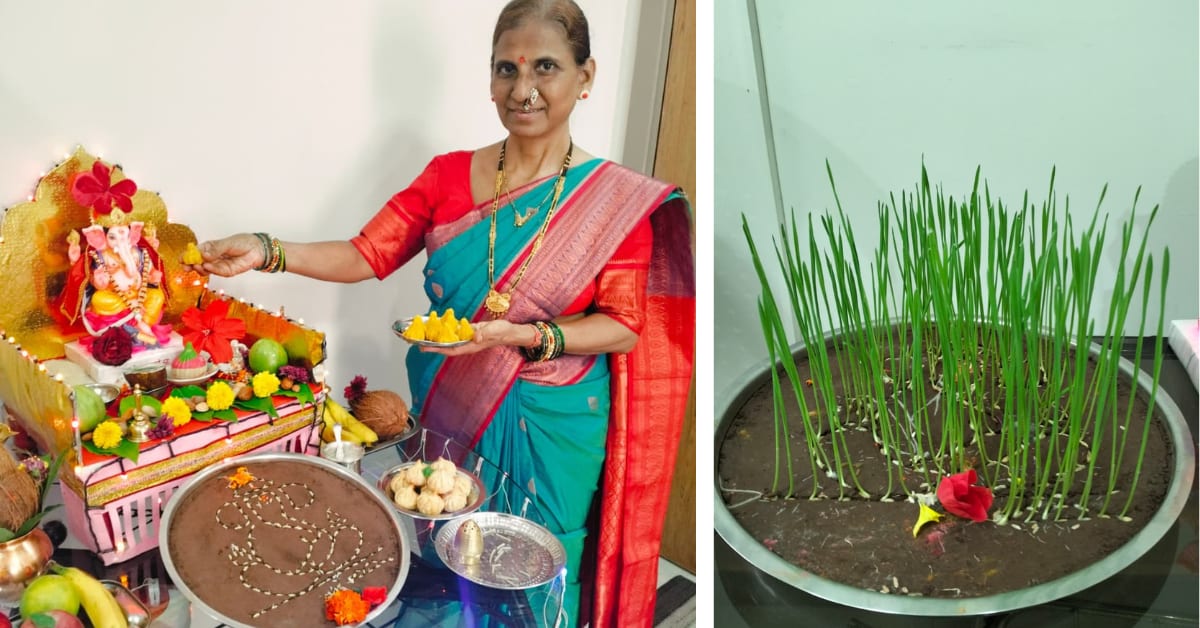 Indian Family Grows Living Ganesha From Wheat Seeds
