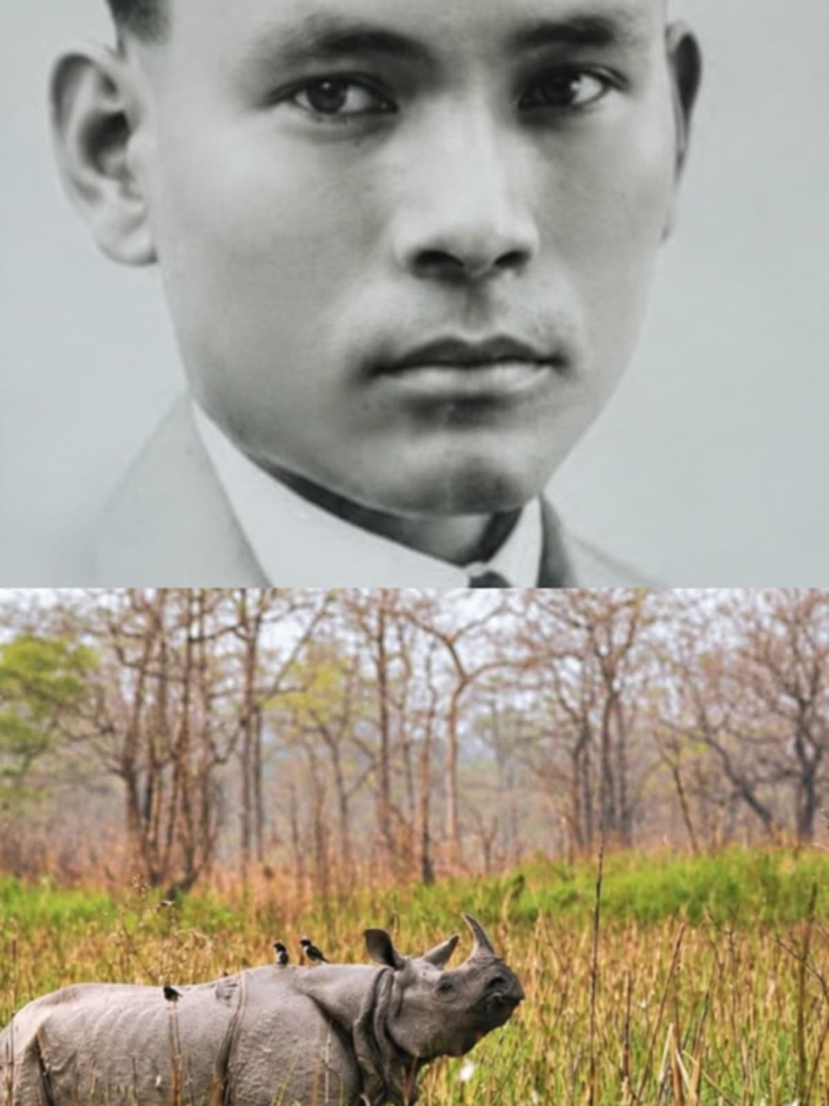 Forest Officer Saved Kaziranga's Rhinos Before Age 36