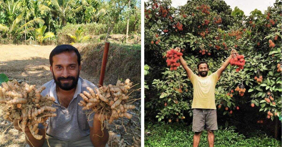 Young Indian farmer Chethan Shetty standing among rambutan fruit trees on his Karnataka farm