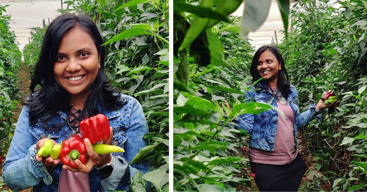 Engineer Grows 120 Plants in Her 2-Bedroom Apartment