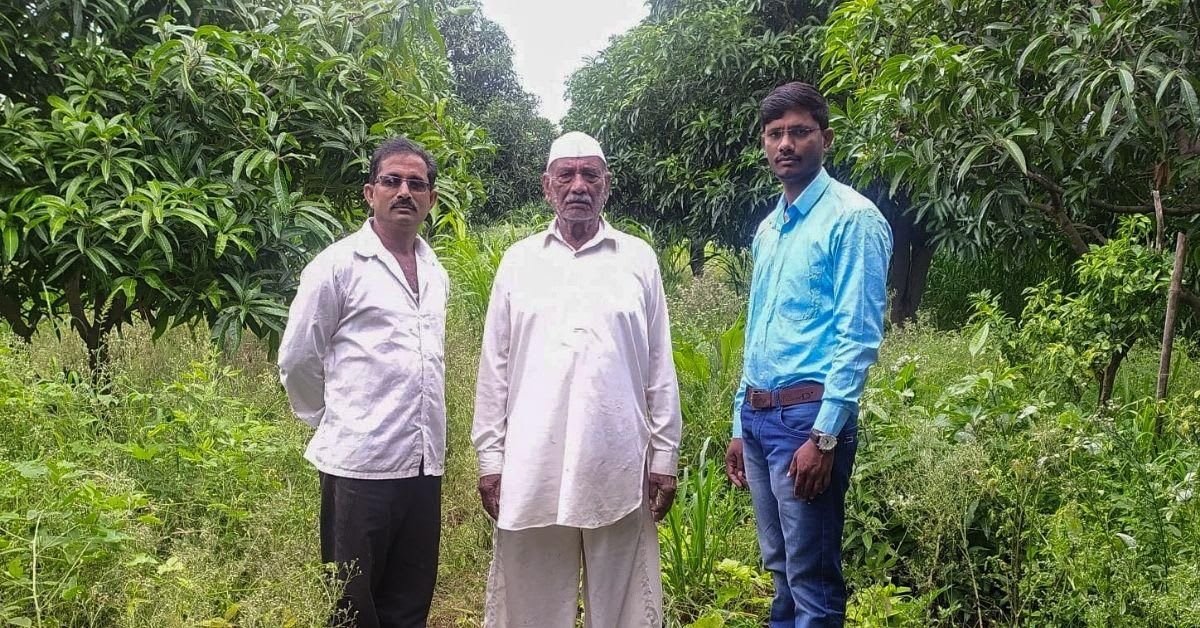 Farmer Spends 15 Years Reviving Rare Mango From 1 Tree - Image 2