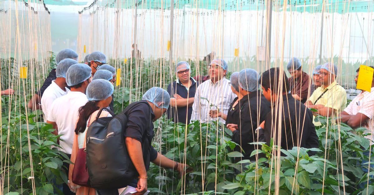 3 Friends Build Hydroponics Empire, Train 35,000 in India - Image 2