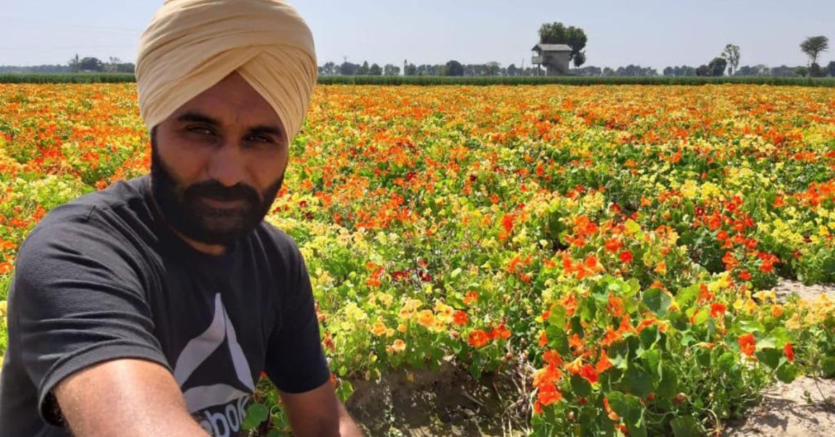 Punjab Farmer Doubles Income Growing 40 Exotic Flowers - Image 2