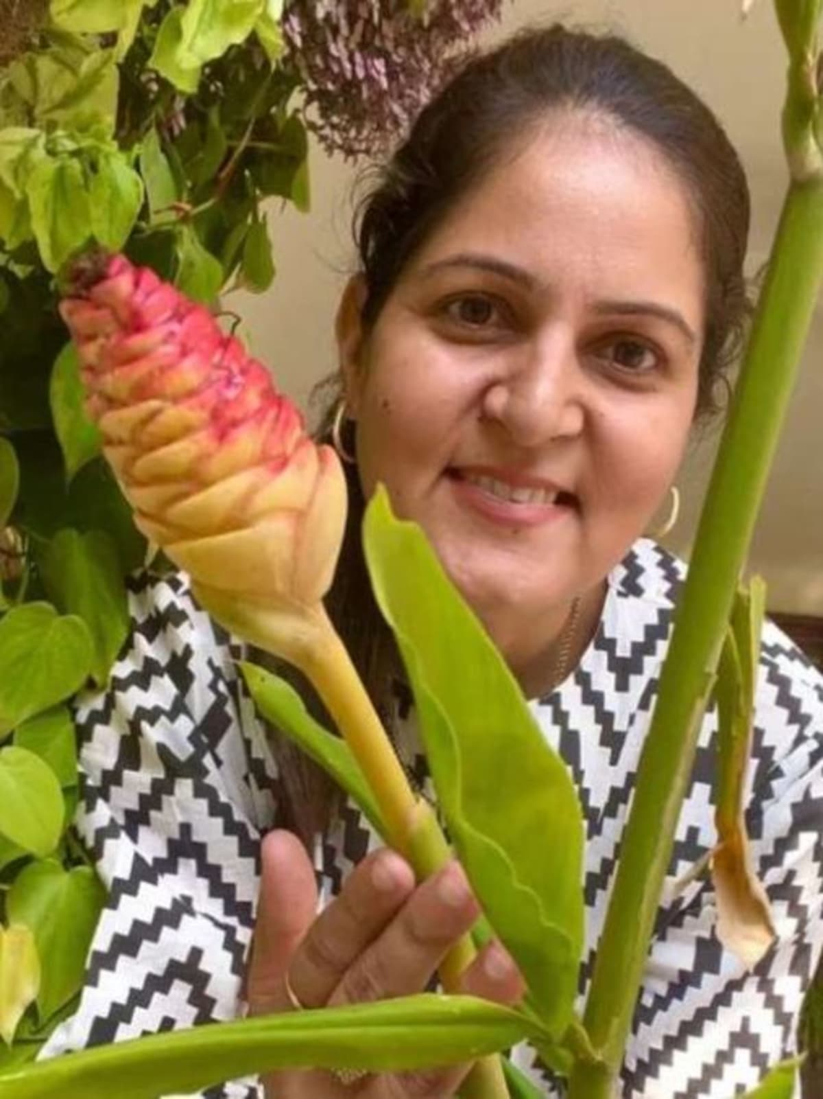 Lush terrace garden with potted turmeric, cardamom, and various Indian spice plants growing in sunlight