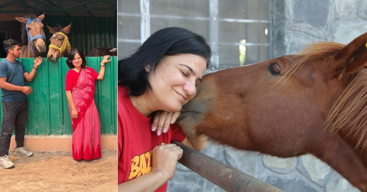 Woman Saves 50,000 Animals After Losing Her Own Pet - Image 2