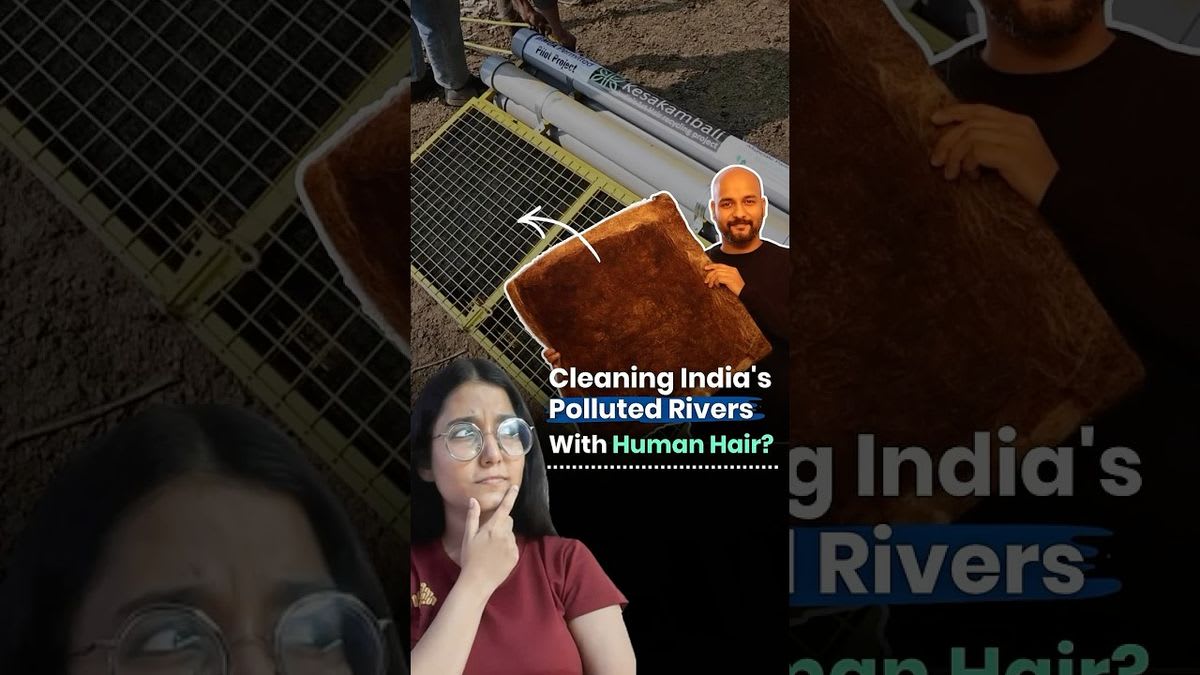 India Cleans Rivers Using Donated Hair and It's Working