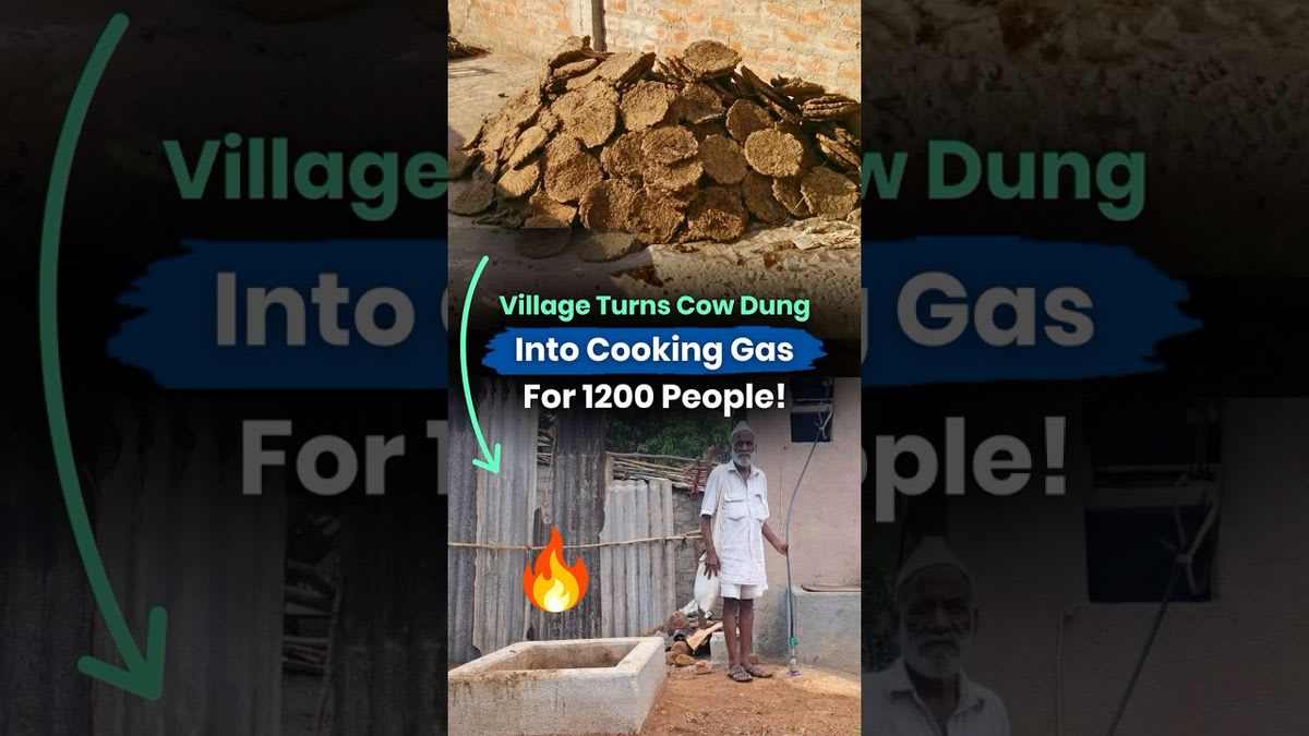 Village Powers 80% of Homes With Cow Dung for 30 Years