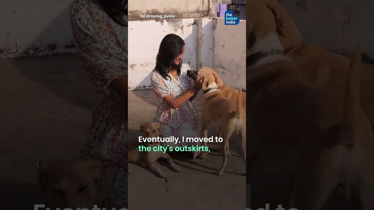 Teacher Feeds 250 Stray Dogs Daily in Gurugram