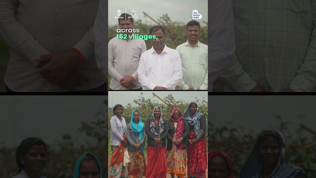 Solar panels mounted above green crop fields with farmers working underneath in India