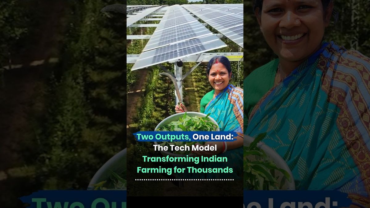 Indian Farm Produces Food and Solar Power on Same Land