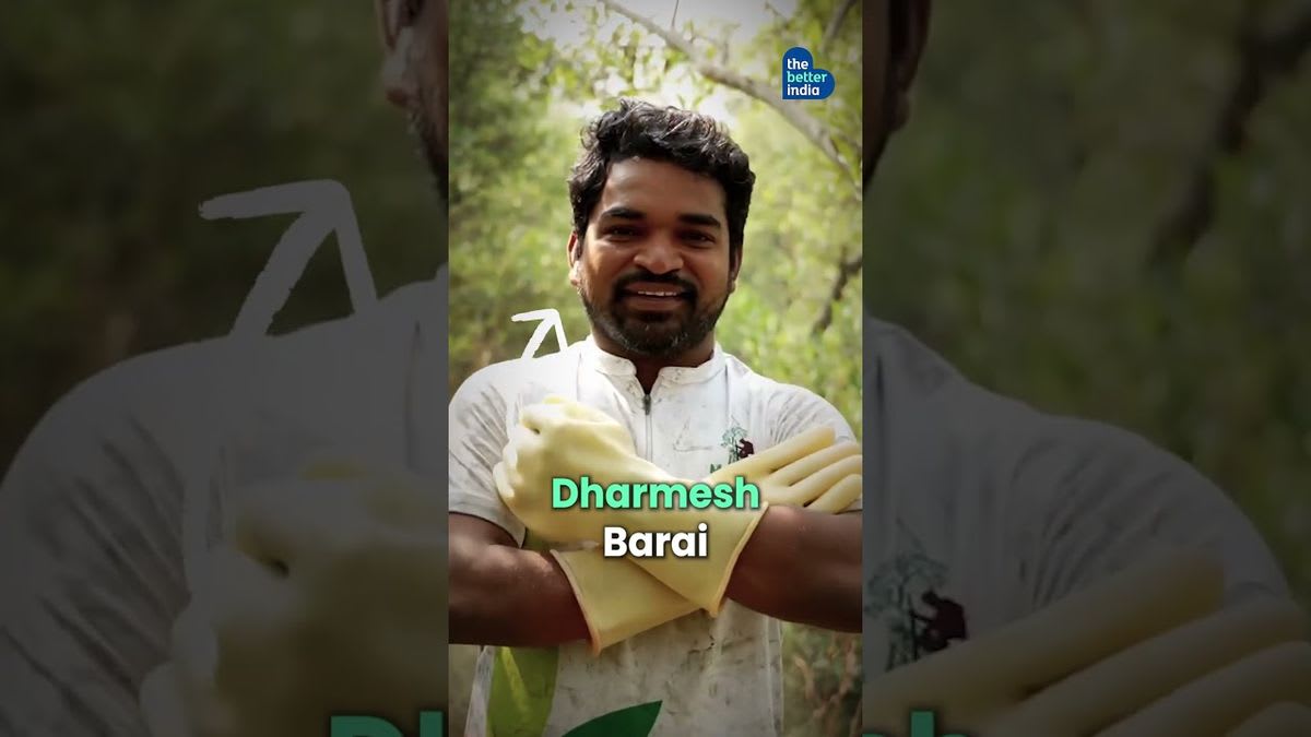 Mumbai: Man Restores Mangroves for 200 Weeks Straight