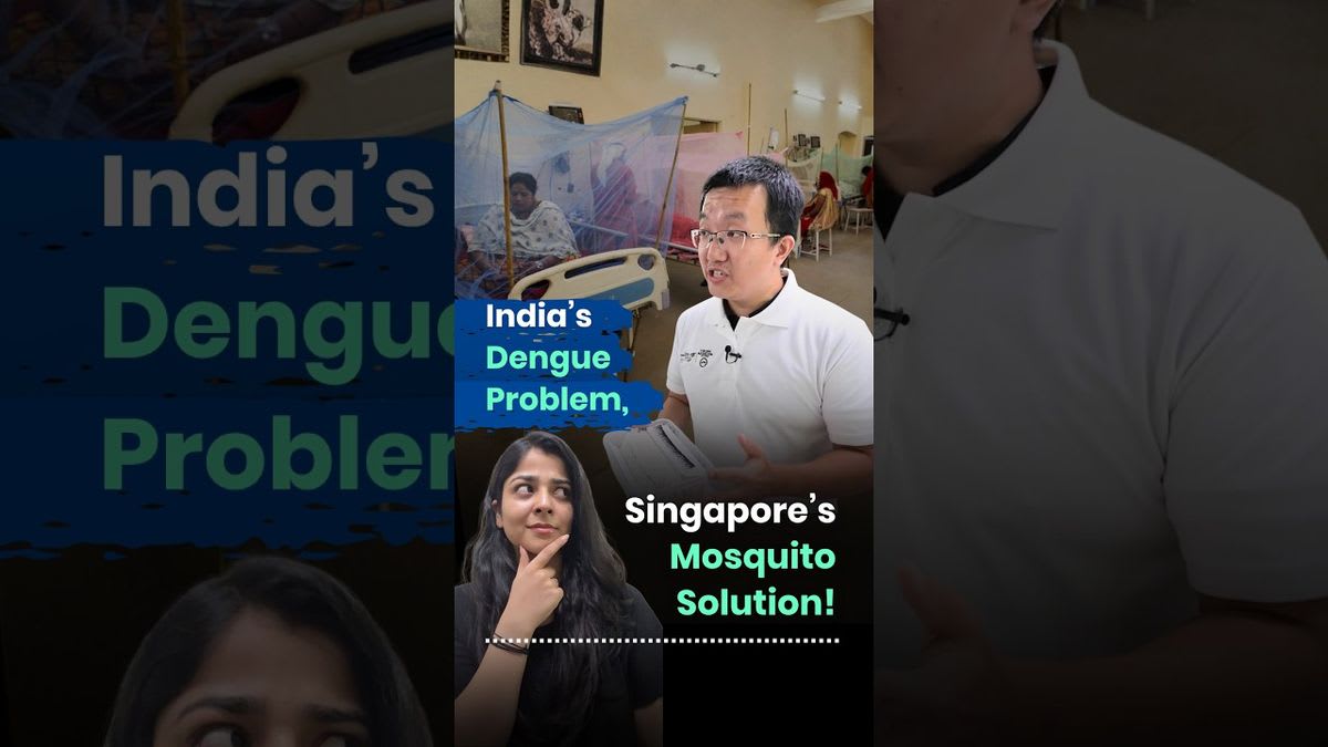 Singapore Releases 10M Mosquitoes Weekly to Fight Dengue