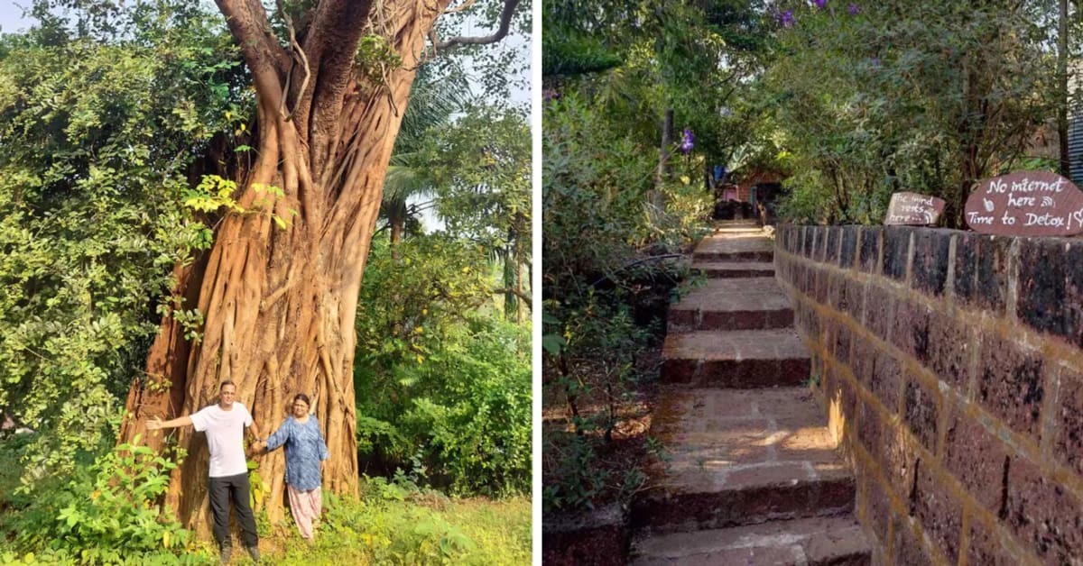 Filmmaker, 60, Builds Internet-Free Homestay Hiring Women - Image 2