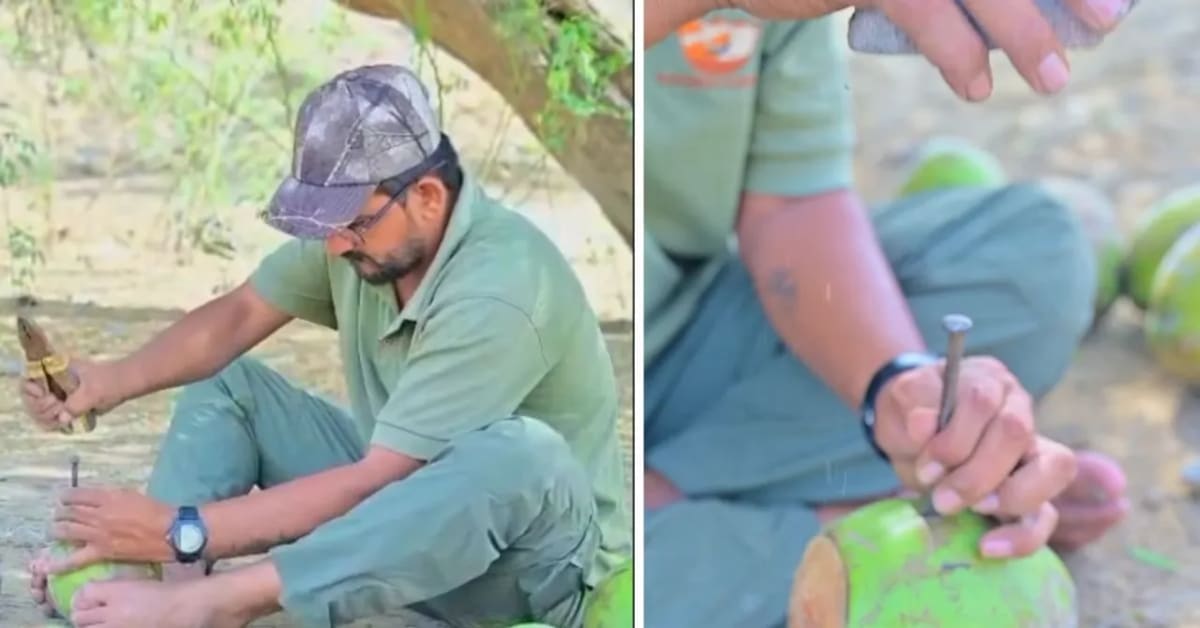 Man Turns Coconut Shells Into Bird Nests in 50°C Heat - Image 2