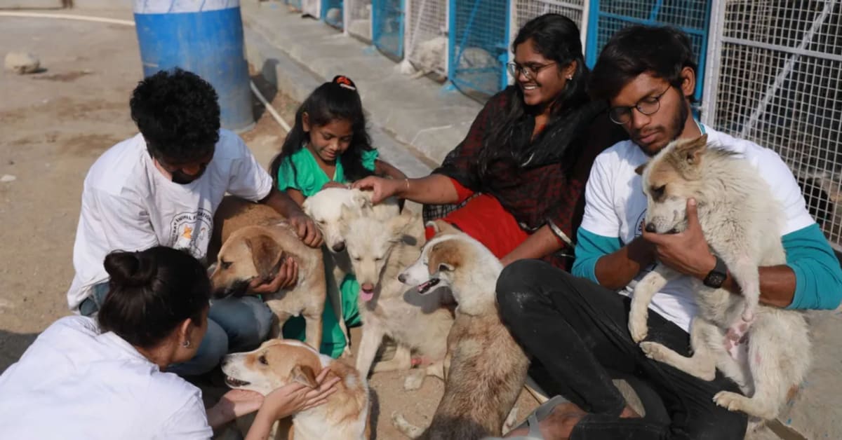 Gen Z in Gujarat Rescues Wildlife via WhatsApp - Image 2