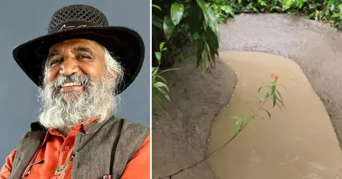 Doctor Creates Plastic-Free Ponds With Soil and Leaves - Image 3