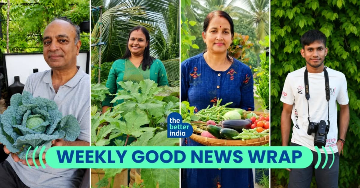 India's Rooftop Gardens Cool Homes 4°C, Feed Families - Image 2