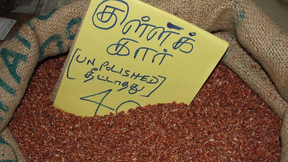 Indian Farmers Revive 100,000 Ancient Rice Varieties - Image 3